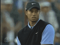 Tiger Woods celebrating being in this agency showreel case study